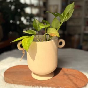 Matte Ceramic Planter Pot
